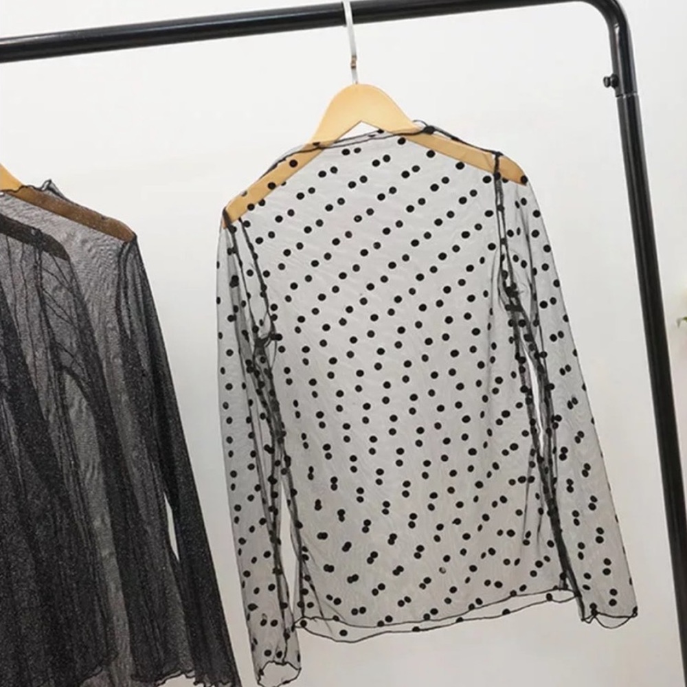 Zara polka dot sheer long sleeves top